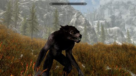 This quest is one of the many dungeon crawls in the game. . Lycanthrope skyrim